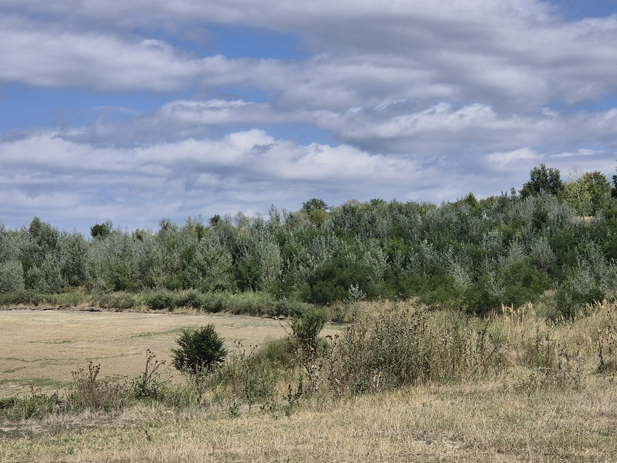 Plantăm fapte bune în România